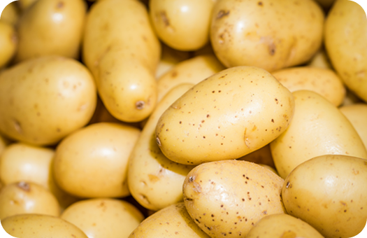 Nutritious Vegetables